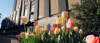 exterior of the neurological institute at columbia